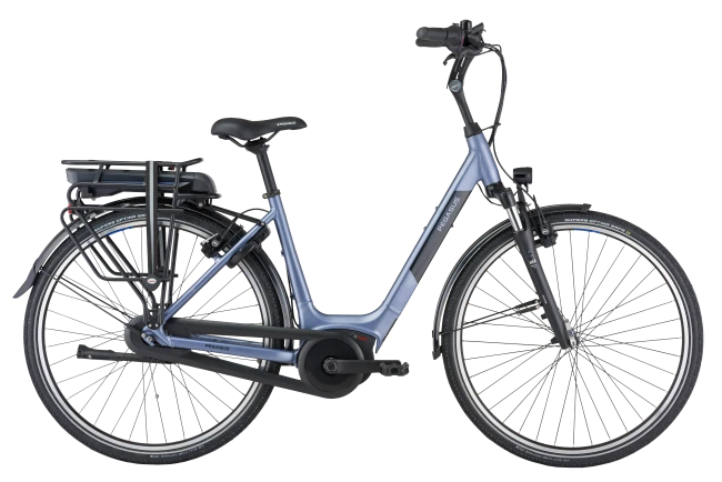 Dwang tandarts Associëren Elektrische fietsen en E-bikes | Betaalbaar én best getest | Pegasus bikes